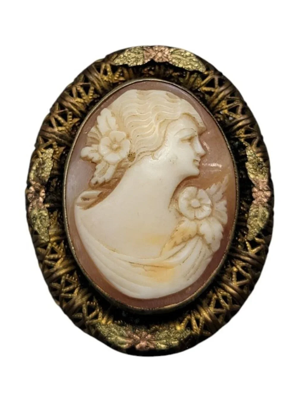 Vintage Carved Cameo Brooch Intricate Woven Frame Mixed Metal Gold Plated Leaves